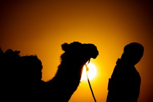 Karawane-im-Sonnenuntergang-a19643133