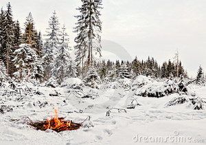 weie-und-feuer-winter-18449223