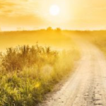 Teil II – Neue und alte Freunde (3)